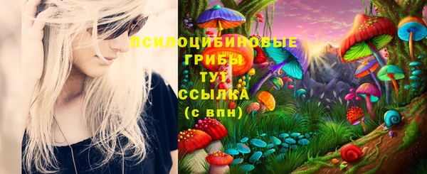 тгк Алзамай