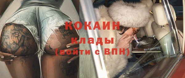 тгк Алзамай