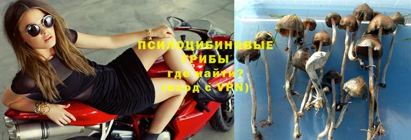 тгк Алзамай