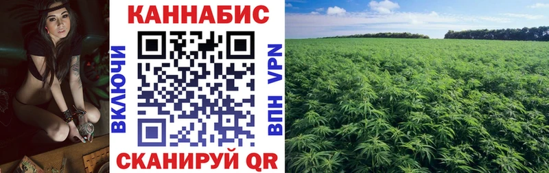 где купить наркоту  Дмитриев  Шишки марихуана индика 
